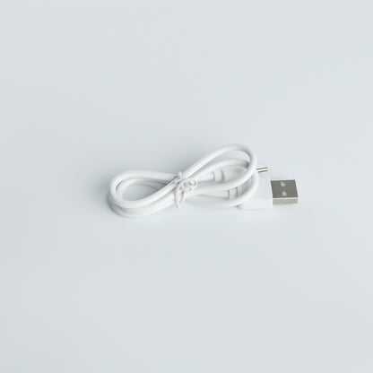 USB-A to USB-C Charging Cable